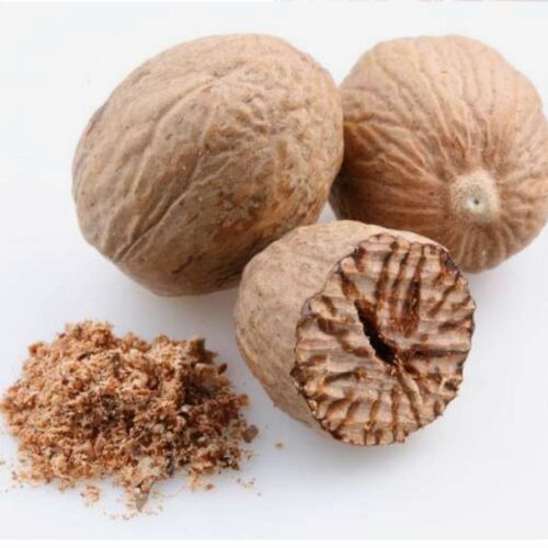 Nutmeg - Jaiphal Plant