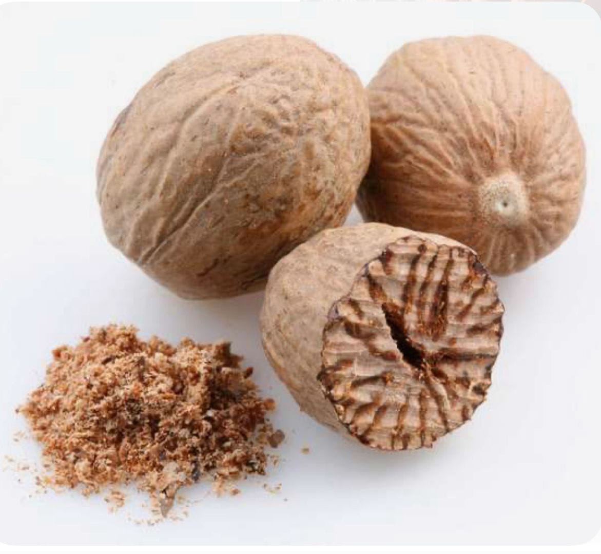 Nutmeg - Jaiphal Plant