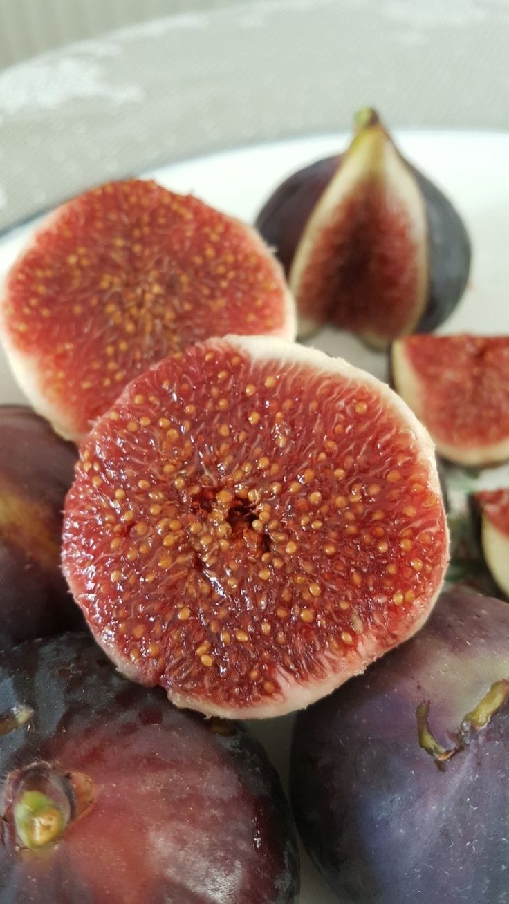 Pune Red Anjeer
