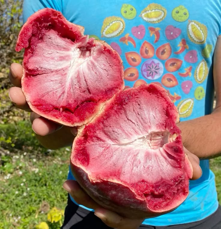 Custard Apple - Red - Image 2
